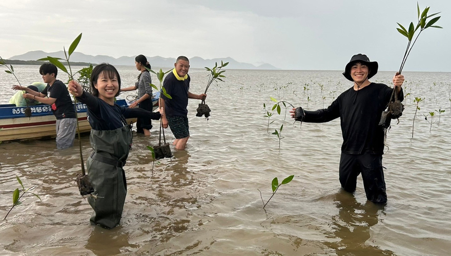 Eco Tree ACTION